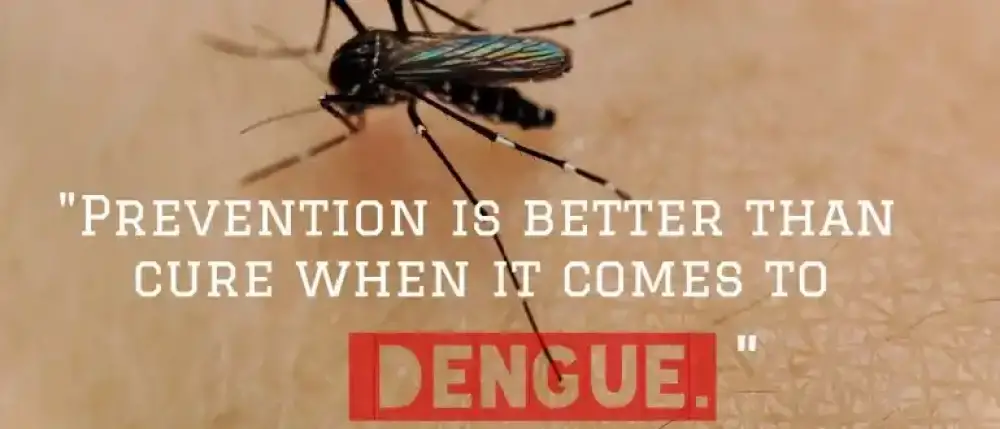 Dengue Diet: Fuel Your Recovery with Nutritious Food